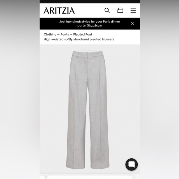 Aritzia Pleated Pants - Light Grey, Size 00 - Picture 3 of 5